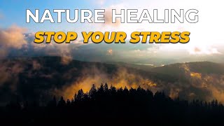 Deep Sleep Music: Try Listening for 10 Minutes