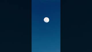 THE FIRST FULL MOON OF SPRING| APRIL12, 2025 | FULL PINK MOON #moon #fullmoon #art #space #subscribe