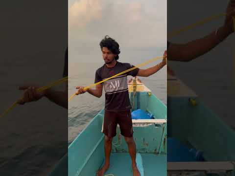 കടൽസുൽത്താൻ #shortsvideo