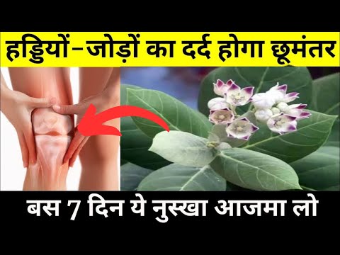 घुटनो की ग्रीस बढ़ाएं, हड्डियों जोड़ों के दर्द से छुटकारा पाएं | Home Remedy for Knee and Joint Pain