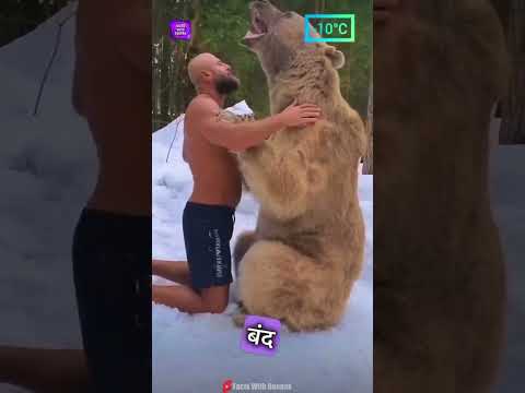 ?? मधुमक्खियों से कैसे बचे ?? ?? #shorts #facts #animals