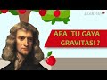 Notifikasi dan Konten Video