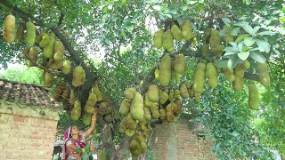 कटहल की रसेदार सब्जी बनाने का ऐसा स्वादिष्ट तरीका जो हेल्थी भी हो और टेस्टी भी || Kathal Ki Sabji