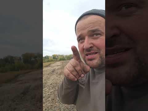 Соя АББІ