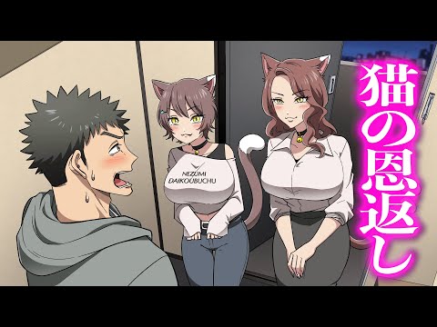 猫の恩返し【アニメ】【コント】