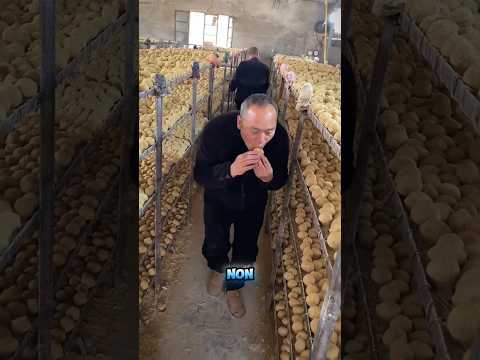 L’avventura misteriosa dell’uovo di nonno! 🥚🕵️‍♂️❤️#shorts