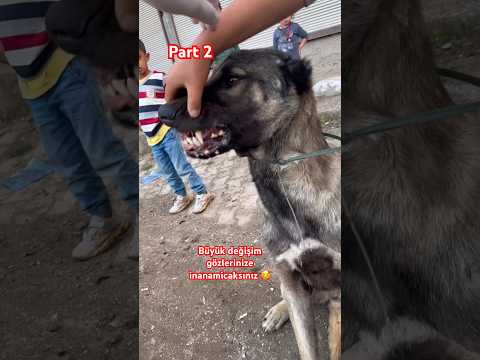 Büyük değişim süpriz videonun sonunda ❤️🥰 #shortvideo #keşfetbeniöneçıkar #shorts