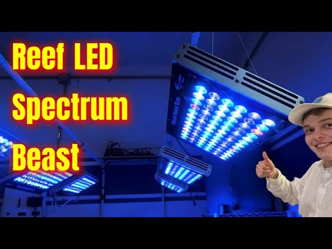 Reef LED Spectrum Beast: The Orphek Natura iCon LED 6 month review