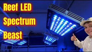Reef LED Spectrum Beast: The Orphek Natura iCon LED 6 month review