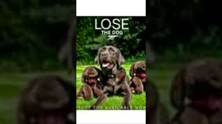 ARSENAL’S DOG WIN HAS BEEN RENAMED LOSE. #swywtv #arsenal #premierleague