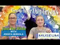 Crystal Growth and Properties
