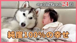 【尊さ限界突破】犬猫と赤ちゃんの最強コンビに癒される😍20選｜PECO