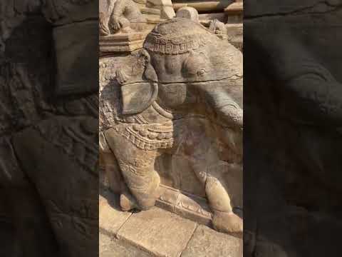 😳சோழர்கள் உருவாக்கிய கோவமான யானை🐘⁉️#shorts #chola #thanjavur #history #tamil