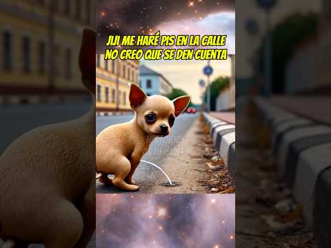 El perrito escapista 🐶 #perros #mismascotas #babyanimal #shortsviral #chihuahua #babypet #mascotas