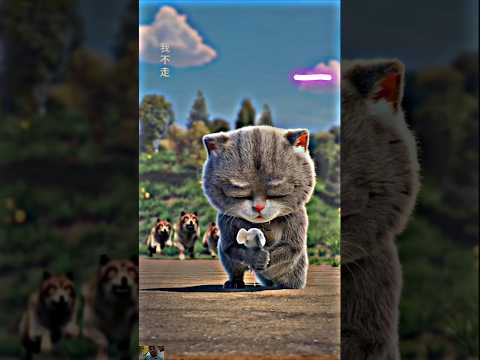 ?❤️?????????❤️?❤️???#shorts  #short  #viral #viralshort #tending #tendingshorts #ytshorts #youtube