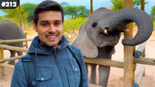 The Country with Highest Population of Elephants! 🇧🇼
