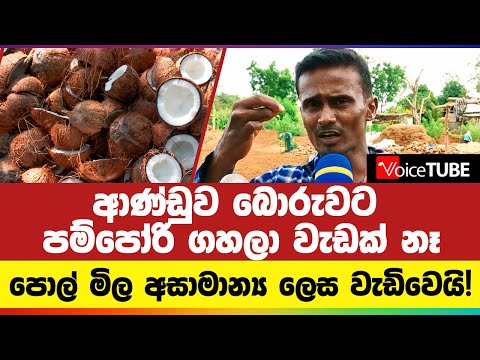 ආණ්ඩුව බොරුවට පම්පෝරි ගහලා වැඩක් නෑ.. පොල් මිල අසාමාන්‍ය ලෙස වැඩිවෙයි!