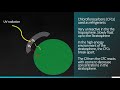 Tropospheric Ozone and Environmental Impact