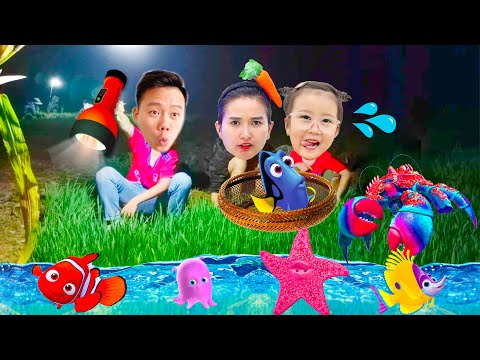 Changcady đi bắt cá buổi tối, phát hiện ra rất nhiều con vật thú vị, con cá, con cua, con đỉa