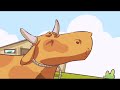 Aicha and the Cow's Story