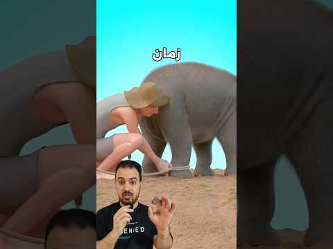 كان في راجل بيربط حبل في رجل الفيل .