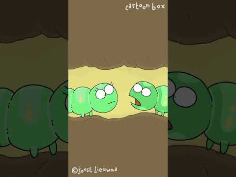 Caterpillar Finds Love Inside an Apple #animation #comedy #twist