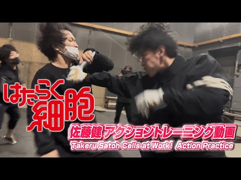 はたらく細胞　佐藤健アクショントレーニング動画 / Takeru Satoh Cells at Work!  Action Practice