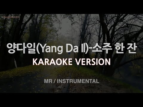 [짱가라오케/노래방] 양다일(Yang Da Il)-소주 한 잔 (MR/Instrumental) [ZZang KARAOKE]