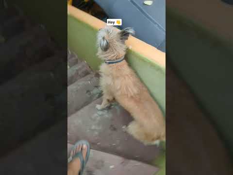 Hey How is my walk 😜❤️