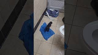 Ella and I debate shower time. #ella