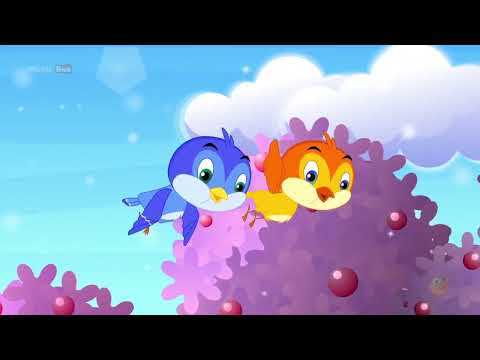 Little Birds Song | Lucy Locket | My Tooth  | Ringa Ringa Roses | Hot Cross Buns | Popular Songs