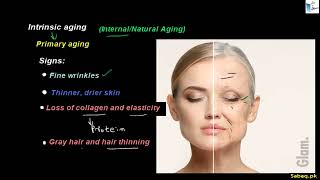 Aging Factors (Extrinsic and Intrinsic)