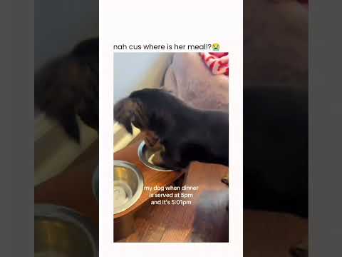 This greed they talk about in the bible #fyp #shorts