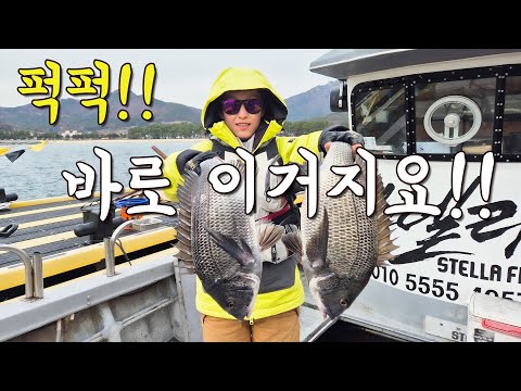 [다리tv] 퍽퍽!!! 지금부터가 진짜!!! 걱정 말고 달리세요!!!