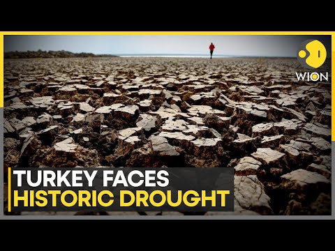 Agriculture Suffers as Turkey Faces Worst Drought in Over 50 Years | WION