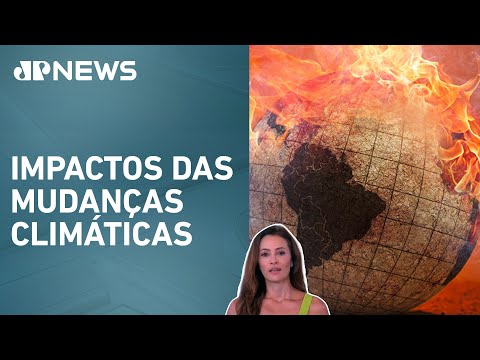 Mundo deve superar meta de 1,5°C de aquecimento em 2024; Patrícia Costa analisa