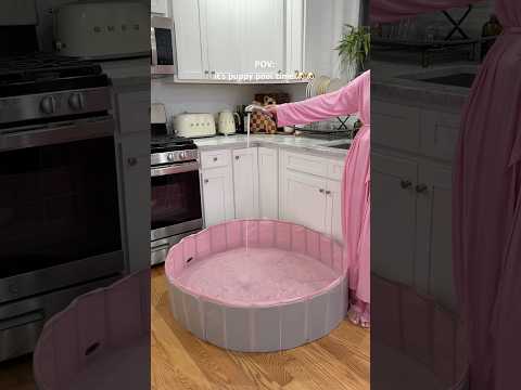 Itโs pool time! #dog #puppy #viral #asmrsounds #pool #shorts