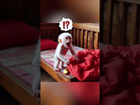 I changed for you! 🐵 Please don't cry! 🥹💙