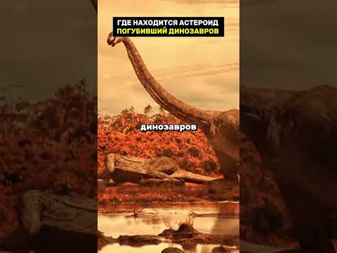Где находится астероид который уничтожил динозавров?