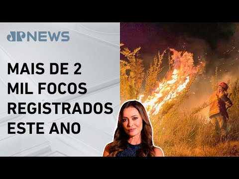 Número de incêndios dispara no Rio de Janeiro; Patrícia Costa comenta