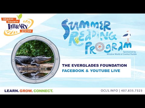 Summer Reading Program: The Everglades Foundation