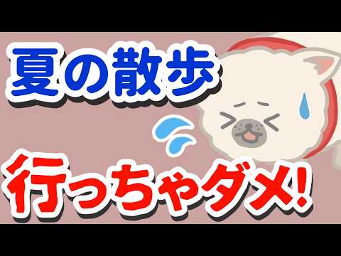 犬の散歩「行かない」が正解?それでも行くなら必ず守るべき注意点
