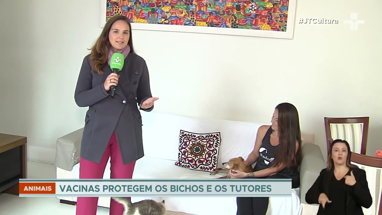 Julho Dourado reforça importância da vacinação em cães e gatos