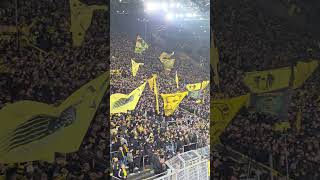 Der BVB kommt zum Aufwärmen aufs Feld.... 13.02.2026 gegen Mainz #bvb #borussiadortmund #bundesliga