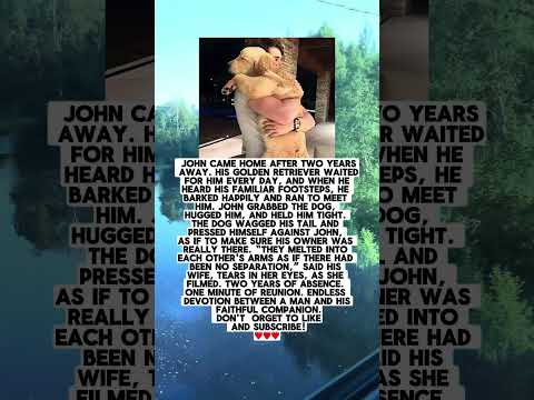 The Golden Retriever Waited For Him Every Day For Two Years