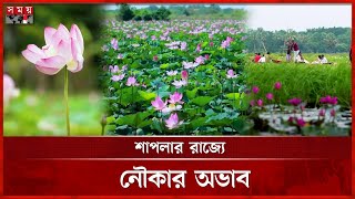 ঢাকার কাছে শাপলার রাজ্য, প্রকৃতিপ্রেমীদের ভিড় | LOTUS LAKE | National Flower | Somoy TV