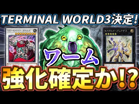 【朗報】ターミナルワールド３発売決定で「ワーム」強化確定か！？？【遊戯王】
