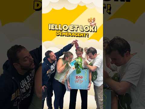 On déménage ! | IELLO & LOKI déménagent !