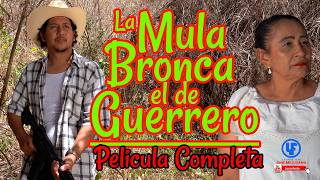 "La Mula Bronca el de Guerrero " Película Completa Mega Estreno de Julio