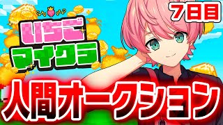 【 #いちごマイクラ 】闇が深すぎる人間オークションやります...【7日目】【STPR／KnightX】【てるとくん】